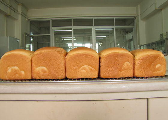 Mono Glyceride chưng cất E-DH-Z45