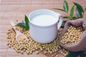 Milky White Glycerol Monostearate Tự nhũ hóa Phụ gia thực phẩm DH-Z80 Non-Dairy Creamer Emulsifier